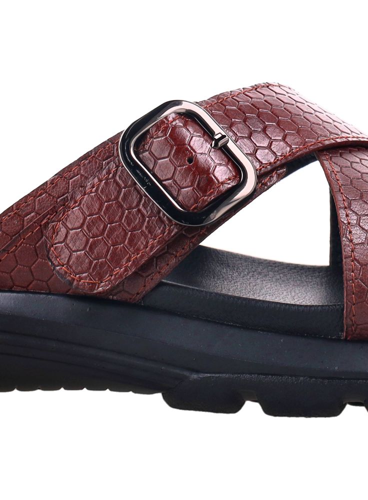 Bocorocco Ux. Marco 51 Testa Di Moro