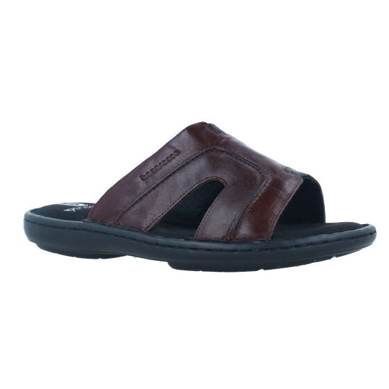 U. Bruno 32 Testa Di Moro Scuro