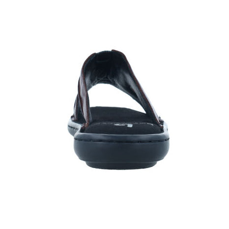 U. Bruno 32 Testa Di Moro Scuro