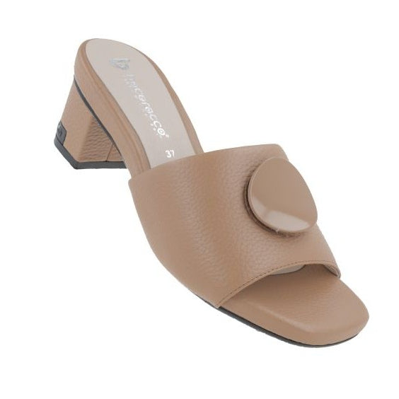 D. Melisa 37 Cammello